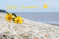 Hello summer message card handwriting with cosmos flowers on stone Royalty Free Stock Photo