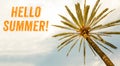 Hello Summer orange text and Palm Tree against sunny clear sky panoramic background. Summer concept. Royalty Free Stock Photo