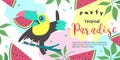 Hello summer. Party tropical Paradise. Vector illustration, invitation to a party with a cute Toucan bird. Royalty Free Stock Photo