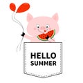 Hello summer. Pig face head in the pocket. Watermelon, balloons. Cute cartoon animals. Piggy piglet character. Dash line. White Royalty Free Stock Photo