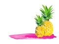 Hello summer pineapple illustration. greeting card. graphic trendy vector drawing. poster banner.