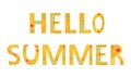 Hello Summer season inscription, lettering text with flowers elements. Typography quote for greeting card, poster, flyer. Vector