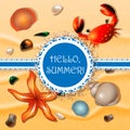 Hello, summer.Shells, crab and starfishes on sand background.