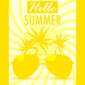 Hello Summer. Summer background/banner