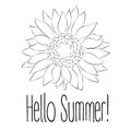 Hello Summer! Sunflower Vector illustration on white background