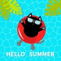 Hello Summer. Swimming pool water. Black cat floating on red pool float water circle. Top air view. Sunglasses. Lifebuoy. Palm tre