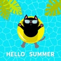 Hello Summer. Swimming pool water. Black cat floating on yellow pool float water circle. Top air view. Sunglasses. Lifebuoy. Palm Royalty Free Stock Photo