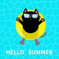 Hello Summer. Swimming pool water. Black cat floating on yellow pool float water circle. Top air view. Sunglasses. Lifebuoy. Cute Royalty Free Stock Photo