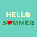 Hello summer text. Camomile daisy chamomile watermelon icon letter. Healthy food, flower. Slice cut half seeds. Green Red fruit