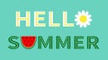 Hello summer text. Camomile daisy chamomile watermelon icon letter. Slice cut half seeds. Green Red fruit berry flesh peel.