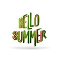 Hello summer - text cutting from watermelon - vector illustration isolated on white background Royalty Free Stock Photo