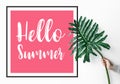 Hello summer text with female holding monstera leaf