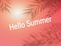 Hello summer text   shadow of palm  tropical tree leaves on front nature landscape concept  background temp Royalty Free Stock Photo