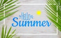 Hello summer travel vacation concept flat lay poster background concept. Hello Summer text on white wood background with green