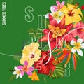 Hello Summer Tropic Design. Tropical HibisÃÂus Flowers Background for Poster, Sale Banner, Placard, Flyer Royalty Free Stock Photo