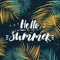 Hello summer. Tropical summer design with palm leaves. Hand drawn lettering. Summer background.