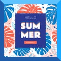 Hello summer web banner, Tropical leaves background. Flat vector illustration