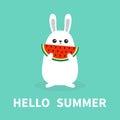 Hello summer. White bunny rabbit holding eating watermelon slice cut. Funny head face. Cute kawaii cartoon character. Big ears. Ba Royalty Free Stock Photo