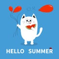 Hello summer. White cat holding red balloon, watermelon. Ladybug insect. Cute cartoon character. Greeting card. Funny pet animal c