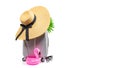 Hello summer. Womens accessories traveler: suitcase, straw hat, sunglasses and pink flamingo isolated on white background with Royalty Free Stock Photo