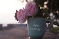 Hello Sunday. Relax Sunday weekend concept with pink roses flower and a coffee cup with text message on it. Happy Sunday.