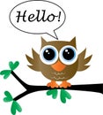 Hello a sweet little brown owl Royalty Free Stock Photo