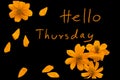 hello thursday message card handwriting with orange cosmos flowers