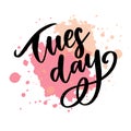 Hello Tuesday words. Quote design. Hand drawn ink lettering. Sticker for social media content. Modern brush calligraphy. Can be