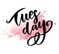 Hello Tuesday words. Quote design. Hand drawn ink lettering. Sticker for social media content. Modern brush calligraphy. Can be