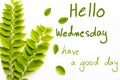 hello wednesday have a good day message card handwriting with leaf arrangement hearts