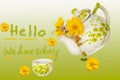 hello wednesday message card handwriting with cosmos flowers, teapot