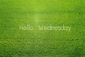 Hello Wednesday words on green plants background