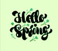 Hello welcome spring lettering. Brush pen hand drawn calligraphy