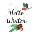 Hello winter. lettering with spruce branch and bird