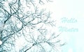 Hello Winter. Snow-covered branches trees. Greeting card Royalty Free Stock Photo