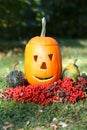 Helloween Royalty Free Stock Photo