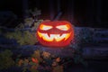 Helloween - a beautiful orange pumpkin with a carved face Jack Sparrow - lit by a candle and perched on logs