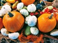 Helloween decoration, pumpkin and garlic and other vegetables.