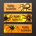 Spider sketch vector set of illustration. Hand drawn style picture. Royalty Free Stock Photo