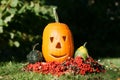 Helloween pumpkin Royalty Free Stock Photo