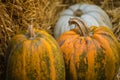 Helloween pumpkin