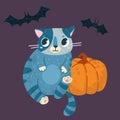 Helloween vector stock illustration with cute cat in a witch hat, bats and pumpkin Royalty Free Stock Photo