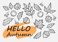 Hello Autumn. Set of autumn harvest elements: vegetables, mushrooms, berries, fruits, leaves, acorns. Hand-drawn, sketch. Vector i Royalty Free Stock Photo