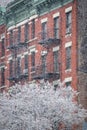 Hells Kitchen Building and Snow Covered Tree, Winter, New York