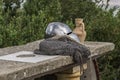 Helmet, chainmail and sword on a stone table Royalty Free Stock Photo