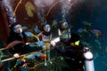 Helmet Diving in the Great Barrier Reef Queensland Australia