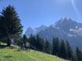 Mountain Biking in the Alps Royalty Free Stock Photo