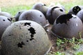 Helmets of Soviet soldiers of the Great Patriotic War