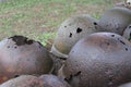 Helmets of Soviet soldiers of the Great Patriotic War