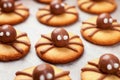 Heloween dessert: funny spiders made of biscuits with chocolate close-up on the table, selective focus Royalty Free Stock Photo